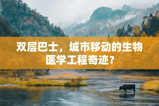 双层巴士，城市移动的生物医学工程奇迹？
