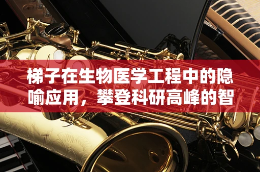 梯子在生物医学工程中的隐喻应用，攀登科研高峰的智慧工具？