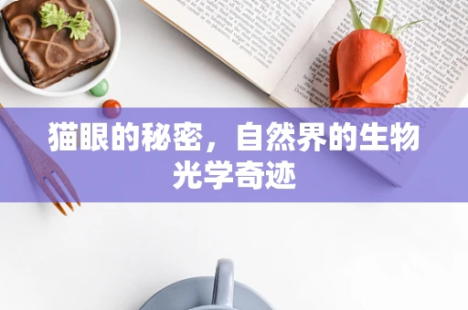 猫眼的秘密，自然界的生物光学奇迹