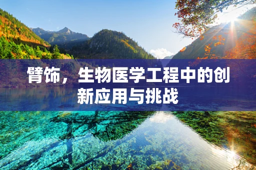 臂饰，生物医学工程中的创新应用与挑战