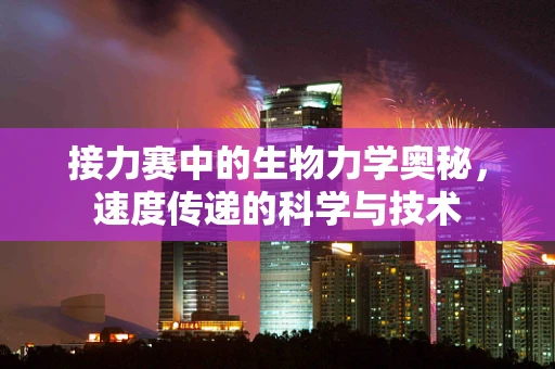 接力赛中的生物力学奥秘，速度传递的科学与技术
