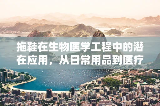 拖鞋在生物医学工程中的潜在应用，从日常用品到医疗辅助工具？