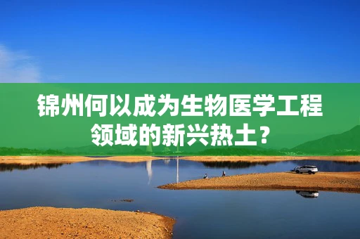 锦州何以成为生物医学工程领域的新兴热土？