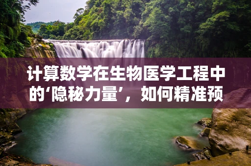 计算数学在生物医学工程中的‘隐秘力量’，如何精准预测疾病发展？