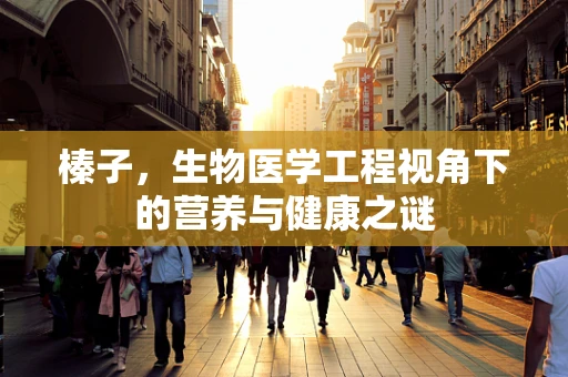 榛子，生物医学工程视角下的营养与健康之谜
