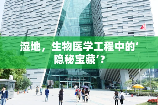 湿地，生物医学工程中的‘隐秘宝藏’？