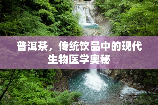 普洱茶，传统饮品中的现代生物医学奥秘