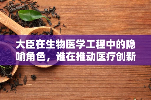 大臣在生物医学工程中的隐喻角色，谁在推动医疗创新的朝政？