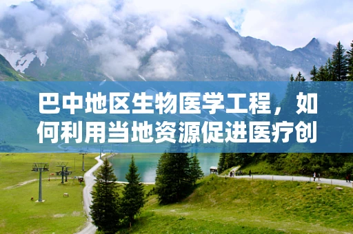 巴中地区生物医学工程，如何利用当地资源促进医疗创新？