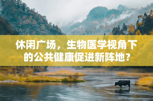 休闲广场，生物医学视角下的公共健康促进新阵地？