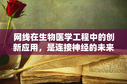 网线在生物医学工程中的创新应用，是连接神经的未来吗？