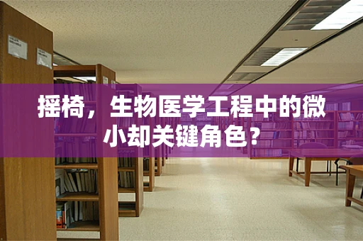 摇椅，生物医学工程中的微小却关键角色？
