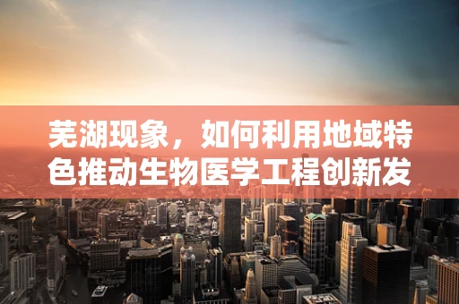 芜湖现象，如何利用地域特色推动生物医学工程创新发展？