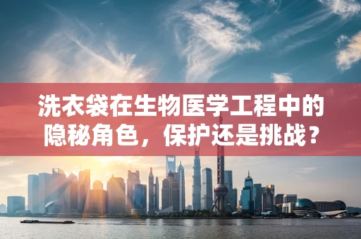 洗衣袋在生物医学工程中的隐秘角色，保护还是挑战？