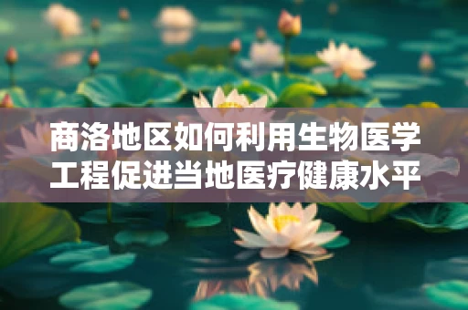 商洛地区如何利用生物医学工程促进当地医疗健康水平提升？