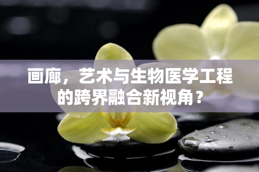 画廊，艺术与生物医学工程的跨界融合新视角？