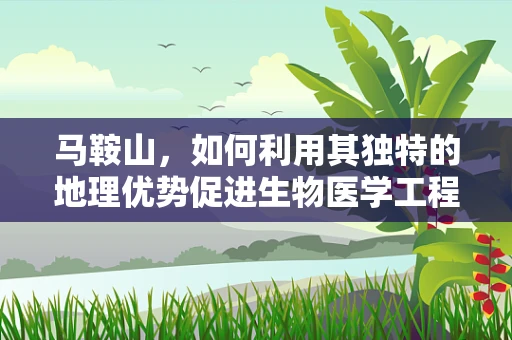 马鞍山，如何利用其独特的地理优势促进生物医学工程发展？