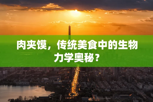 肉夹馍，传统美食中的生物力学奥秘？