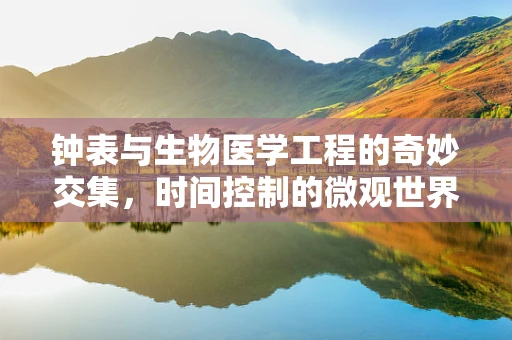 钟表与生物医学工程的奇妙交集，时间控制的微观世界