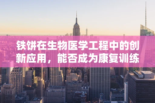 铁饼在生物医学工程中的创新应用，能否成为康复训练的新利器？