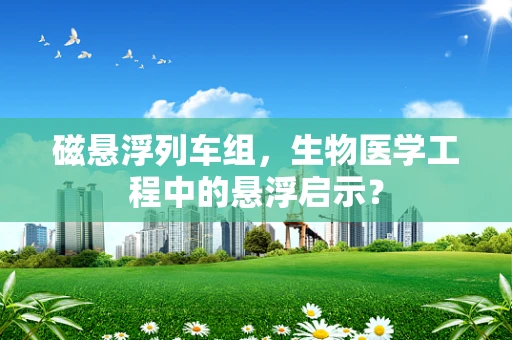 磁悬浮列车组，生物医学工程中的悬浮启示？