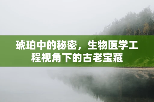 琥珀中的秘密，生物医学工程视角下的古老宝藏