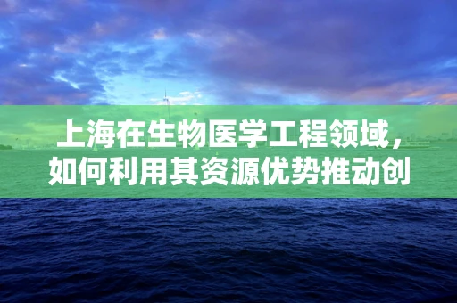 上海在生物医学工程领域，如何利用其资源优势推动创新？