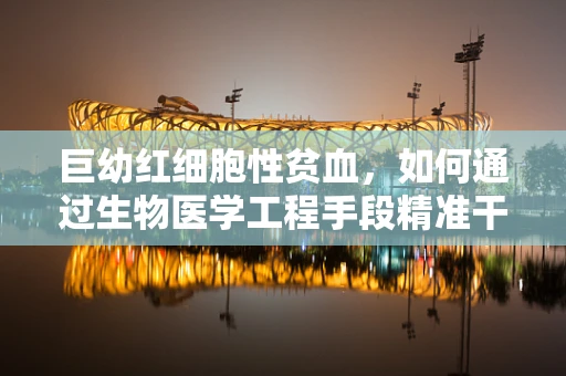 巨幼红细胞性贫血，如何通过生物医学工程手段精准干预？