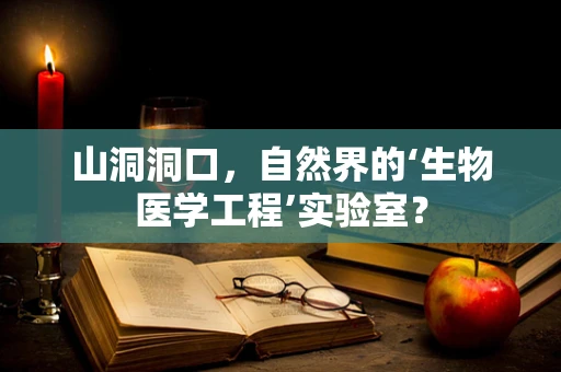 山洞洞口，自然界的‘生物医学工程’实验室？