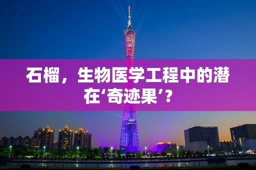 石榴，生物医学工程中的潜在‘奇迹果’？