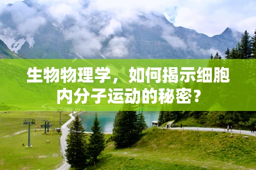 生物物理学，如何揭示细胞内分子运动的秘密？