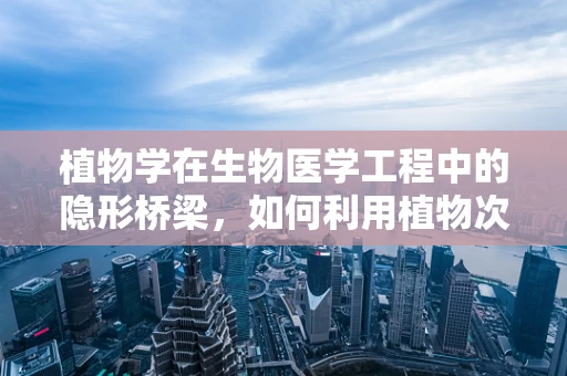 植物学在生物医学工程中的隐形桥梁，如何利用植物次生代谢物促进伤口愈合？
