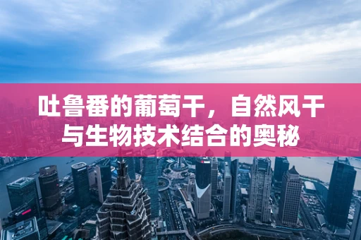 吐鲁番的葡萄干，自然风干与生物技术结合的奥秘