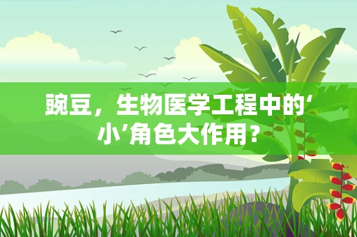 豌豆，生物医学工程中的‘小’角色大作用？