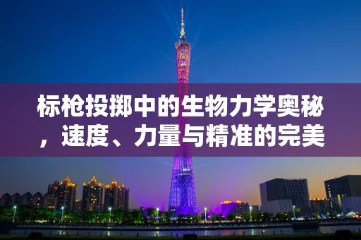标枪投掷中的生物力学奥秘，速度、力量与精准的完美结合
