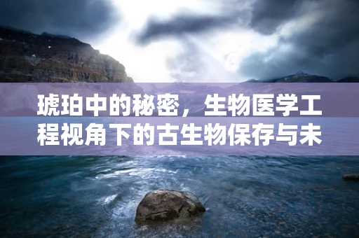 琥珀中的秘密，生物医学工程视角下的古生物保存与未来医疗启示