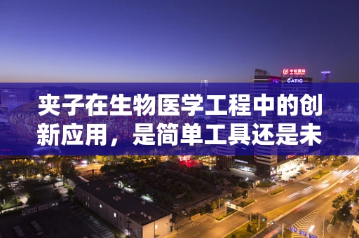 夹子在生物医学工程中的创新应用，是简单工具还是未来疗法的关键？