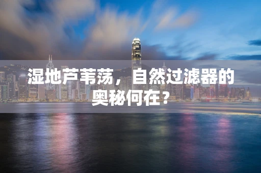 湿地芦苇荡，自然过滤器的奥秘何在？