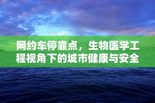 网约车停靠点，生物医学工程视角下的城市健康与安全新挑战？
