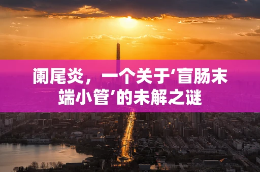 阑尾炎，一个关于‘盲肠末端小管’的未解之谜