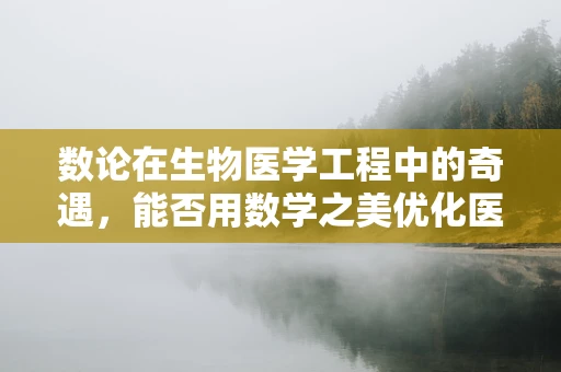 数论在生物医学工程中的奇遇，能否用数学之美优化医疗设备设计？
