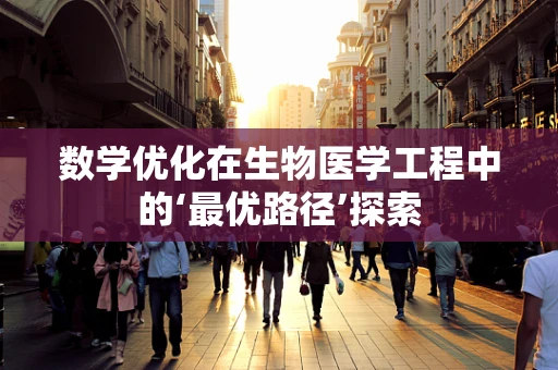 数学优化在生物医学工程中的‘最优路径’探索