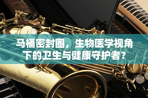 马桶密封圈，生物医学视角下的卫生与健康守护者？