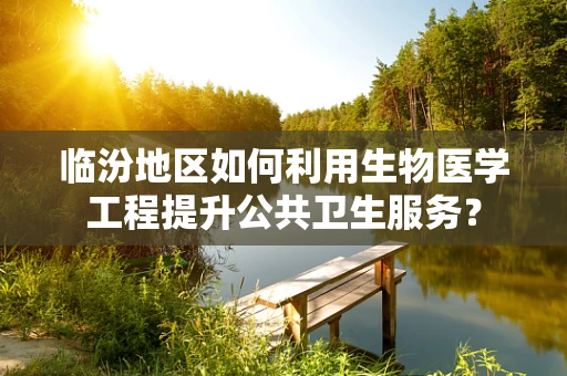 临汾地区如何利用生物医学工程提升公共卫生服务？