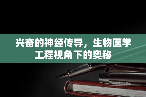 兴奋的神经传导，生物医学工程视角下的奥秘