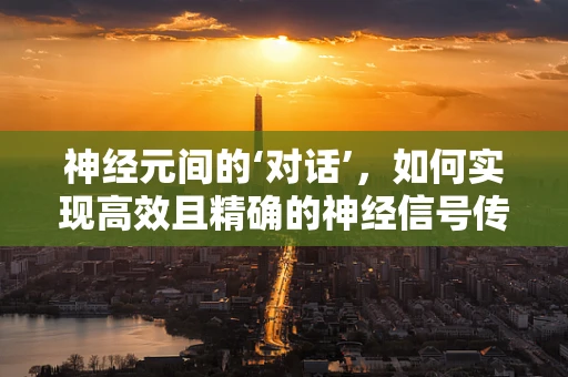 神经元间的‘对话’，如何实现高效且精确的神经信号传递？