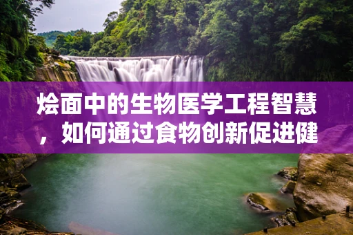 烩面中的生物医学工程智慧，如何通过食物创新促进健康？