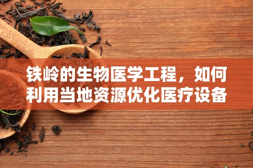 铁岭的生物医学工程，如何利用当地资源优化医疗设备？