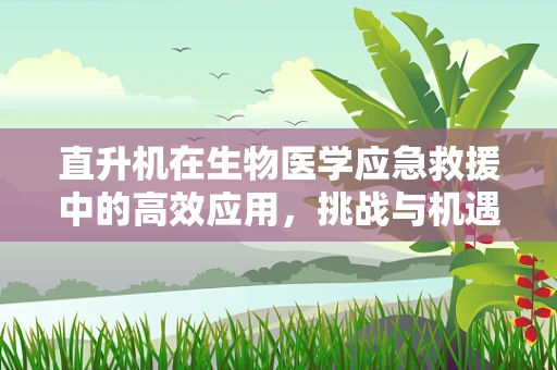 直升机在生物医学应急救援中的高效应用，挑战与机遇？