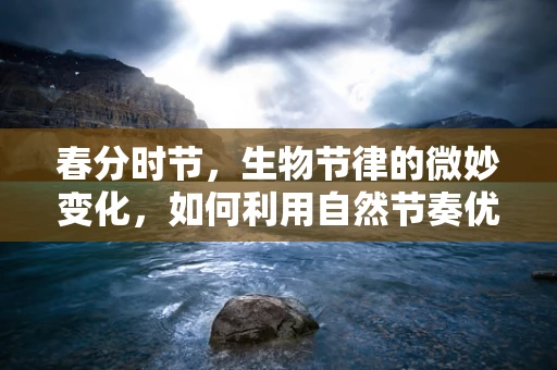 春分时节，生物节律的微妙变化，如何利用自然节奏优化人体健康？